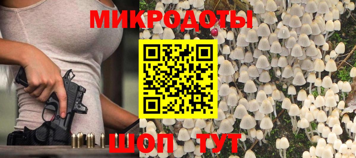 Псилоцибиновые грибы Cubensis  Вход с VPN  Волгоград 