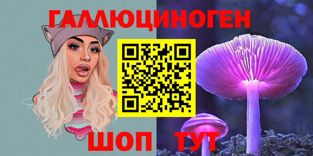 Галлюциногенные грибы Psilocybe Волгоград